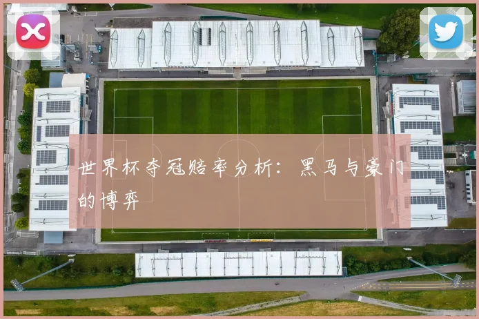 世界杯夺冠赔率分析:黑马与豪门的博弈