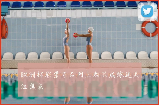 欧洲杯彩票可否网上购买成球迷关注焦点