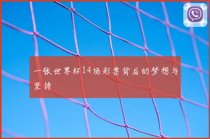 一张世界杯14场彩票背后的梦想与坚持