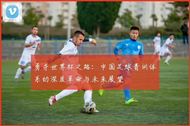 勇夺世界杯之路：中国足球青训体系的深度革命与未来展望