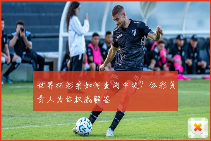 世界杯彩票如何查询中奖?体彩负责人为你权威解答