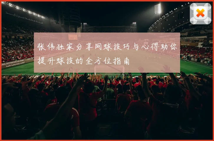 张伟独家分享网球技巧与心得助你提升球技的全方位指南