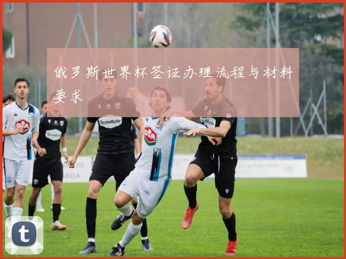 俄罗斯世界杯签证办理流程与材料要求
