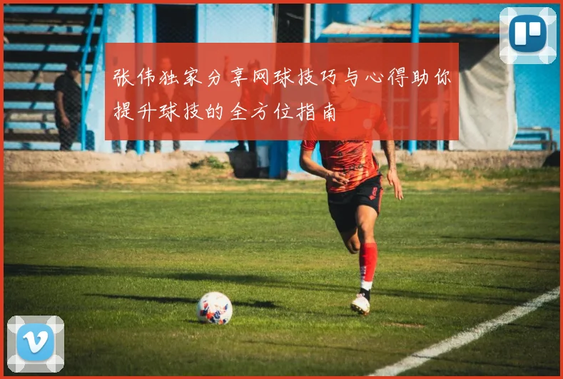 张伟独家分享网球技巧与心得助你提升球技的全方位指南