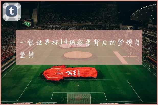 一张世界杯14场彩票背后的梦想与坚持
