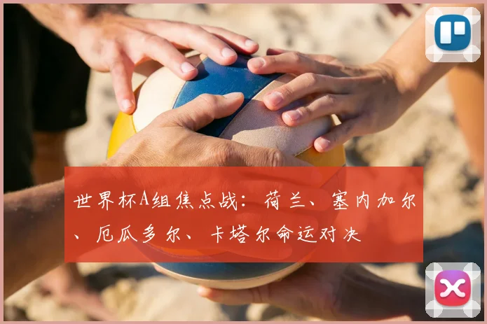 世界杯A组焦点战:荷兰、塞内加尔、厄瓜多尔、卡塔尔命运对决