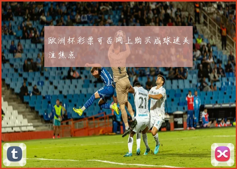 欧洲杯彩票可否网上购买成球迷关注焦点