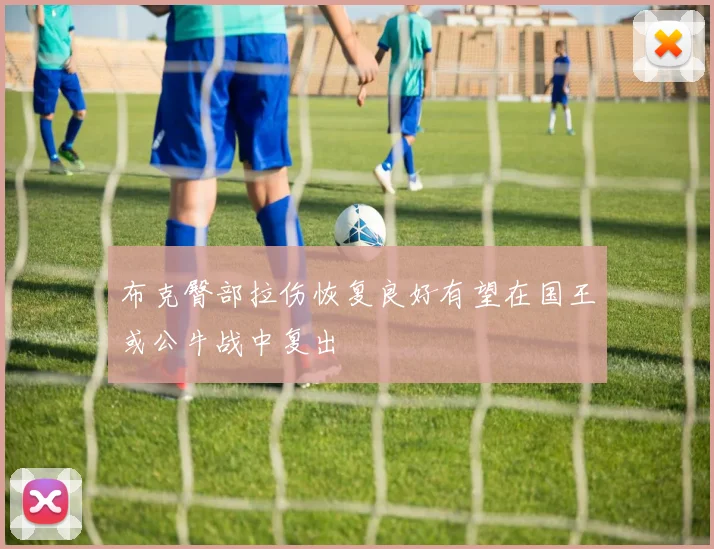 布克臀部拉伤恢复良好有望在国王或公牛战中复出
