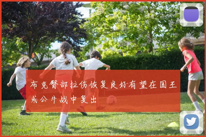 布克臀部拉伤恢复良好有望在国王或公牛战中复出